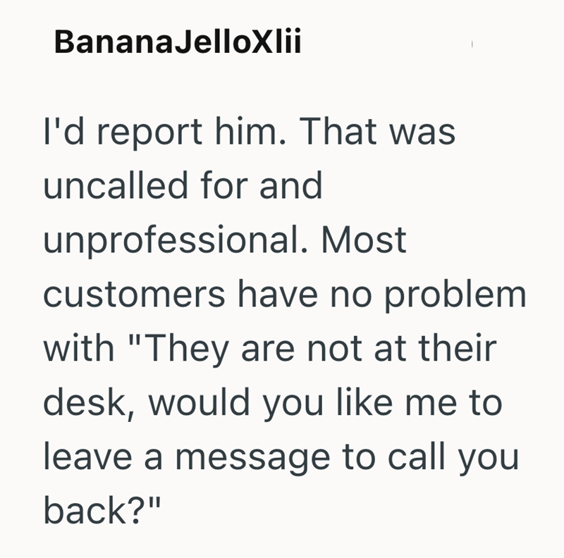 BananaJelloXlii I'd report him. That was uncalled for and unprofessional. Most customers have no problem with "They are not at their desk, would you like me to leave a message to call you back?"