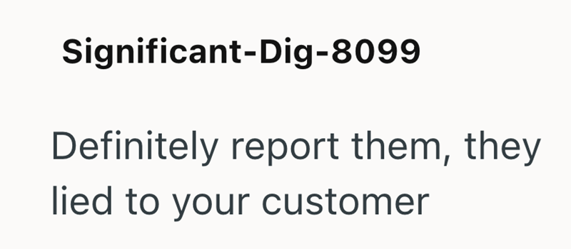 Significant-Dig-8099 Definitely report them, they lied to your customer