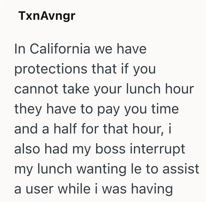 TxnAvngr In California we have protections that if you cannot take your lunch hour they have to pay you time and a half for that hour, i also had my boss interrupt my lunch wanting le to assist a user while i was having