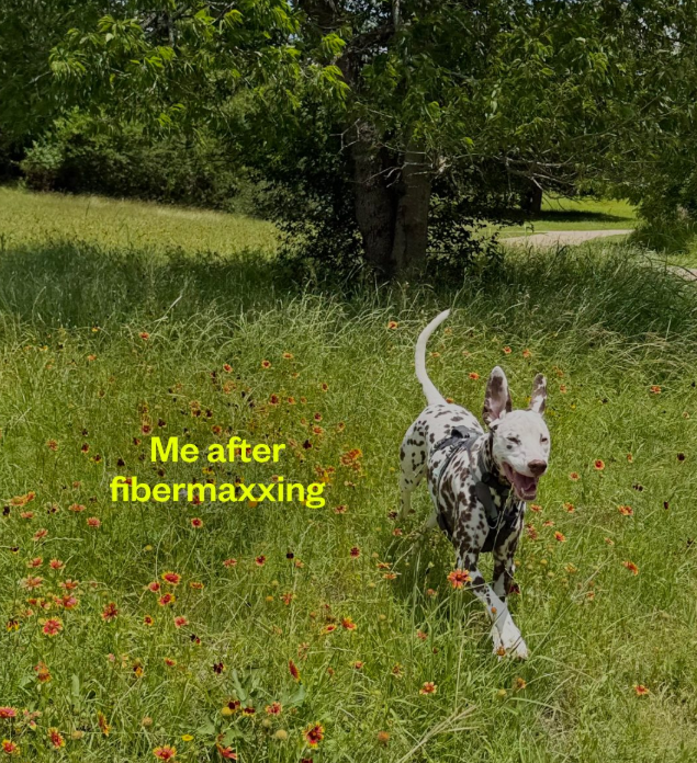 Me after fibermaxxing