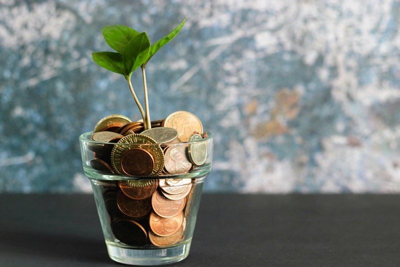 A glass full of coins with a plant growing from it.