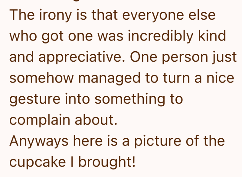 The irony is that everyone else who got one was incredibly kind and appreciative. One person just somehow managed to turn a nice gesture into something to complain about. Anyways here is a picture of the cupcake I brought!