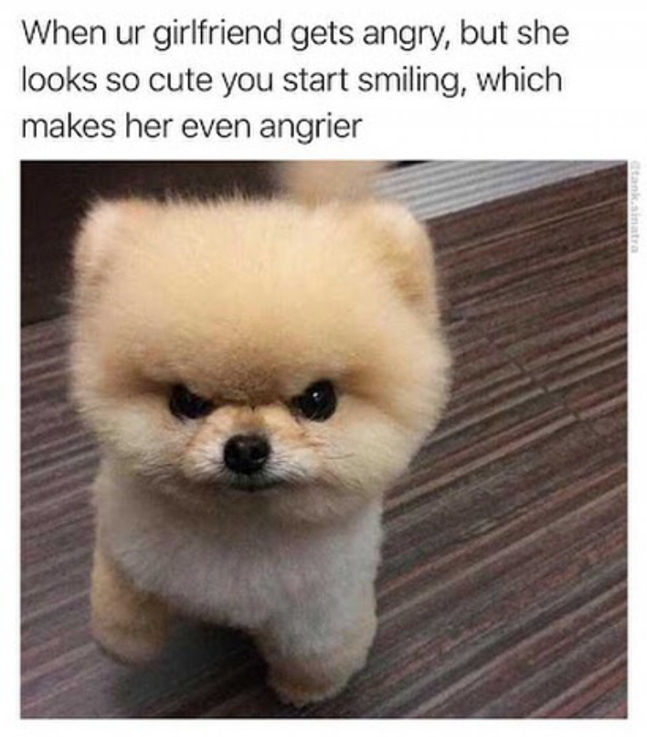 When ur girlfriend gets angry, but she looks so cute you start smiling, which makes her even angrier @tank.sinatra