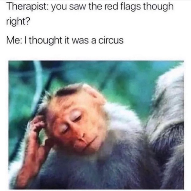 Therapist: you saw the red flags though right? Me: I thought it was a circus