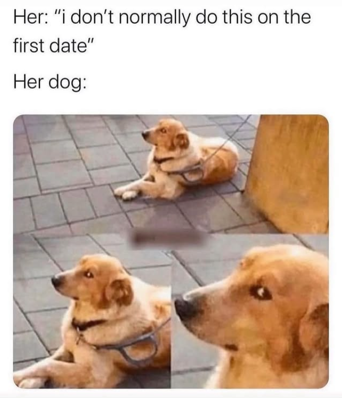 Her: "i don't normally do this on the first date" Her dog:
