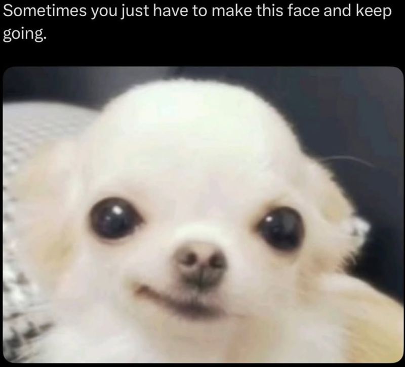 Sometimes you just have to make this face and keep going.