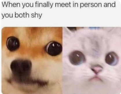 When you finally meet in person and you both shy