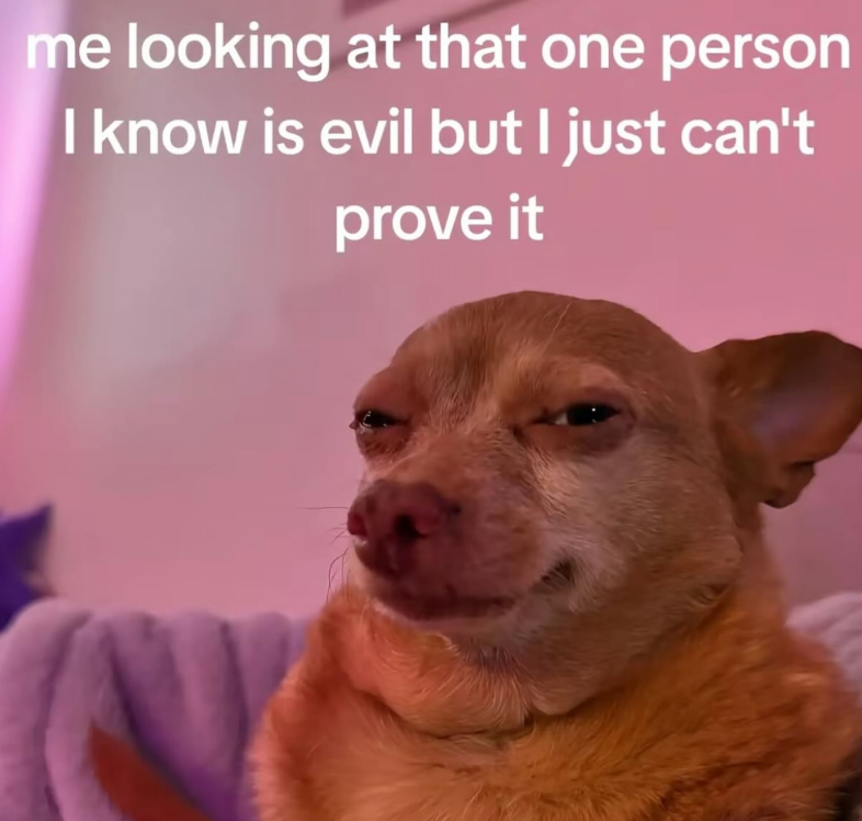 me looking at that one person I know is evil but I just can't prove it