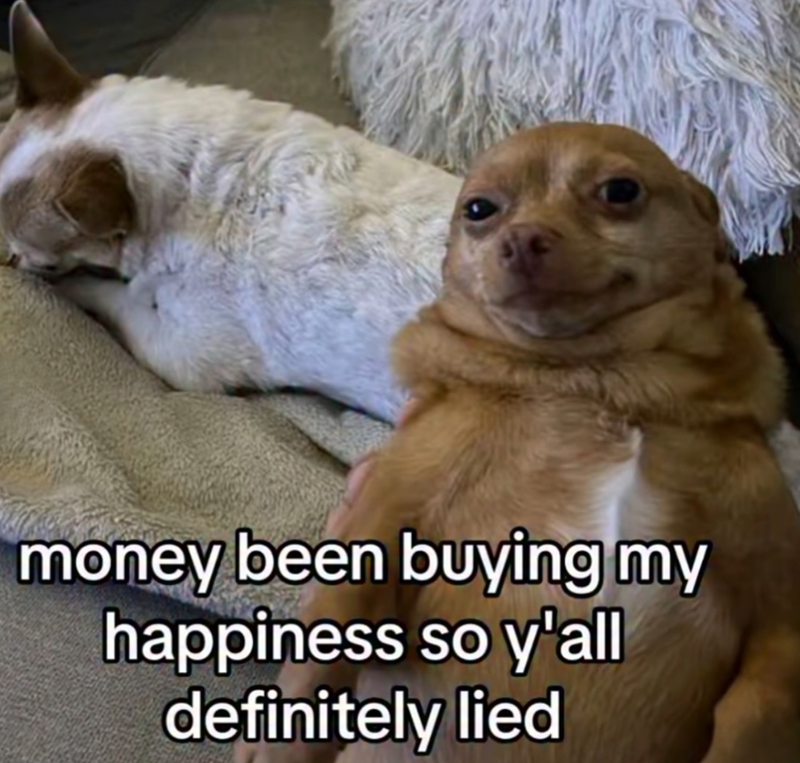 money been buying my happiness so y'all definitely lied