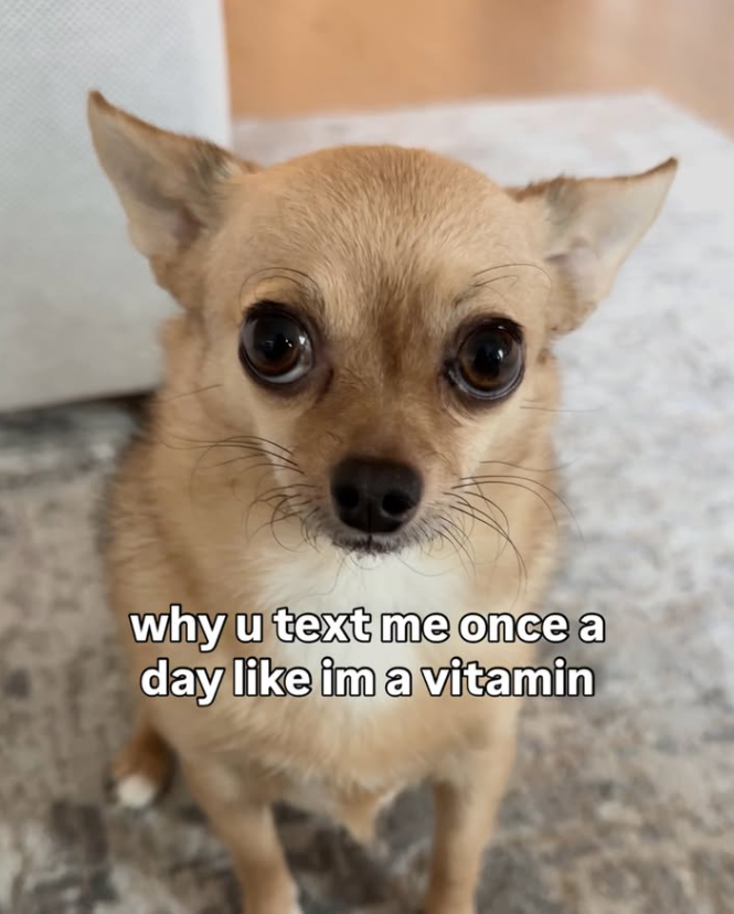why u text me once a day like im a vitamin