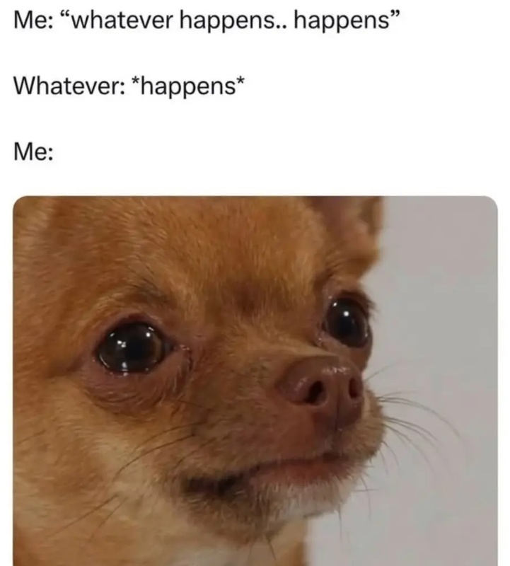 Me: "whatever happens.. happens" Whatever: *happens* Me: