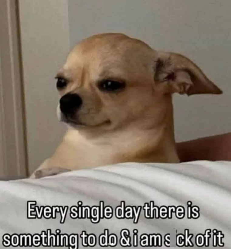 Every single day there is something to do &iams ck of it