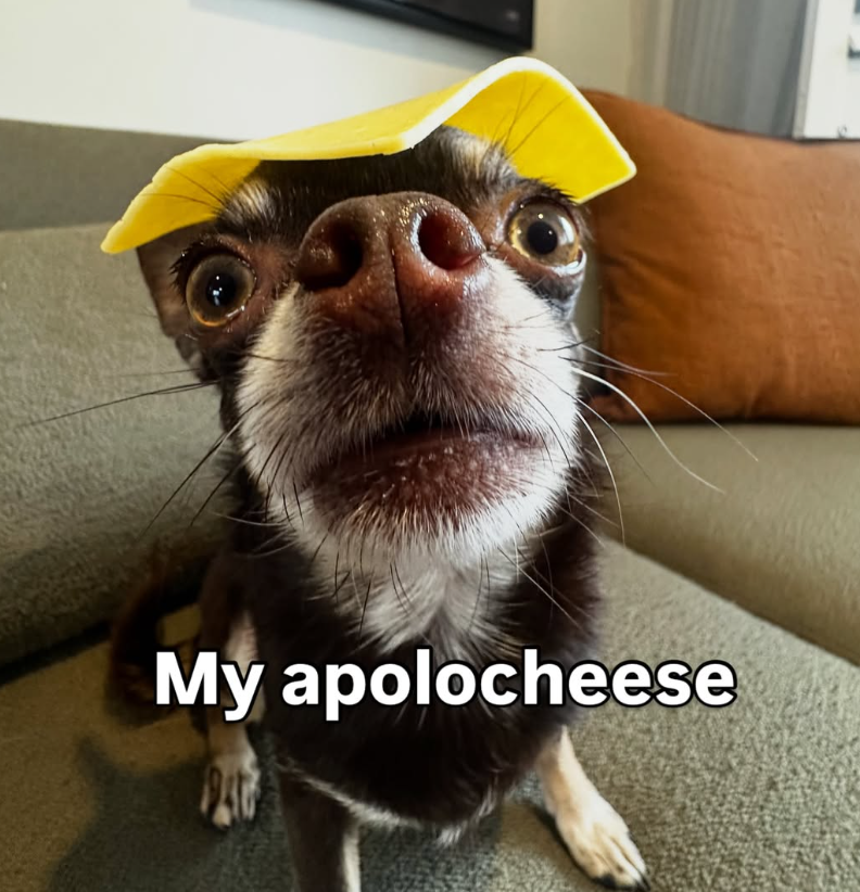 My apolocheese