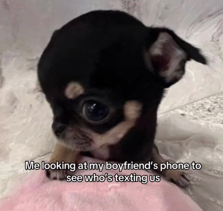 Me looking at my boyfriend's phone to see who's texting us