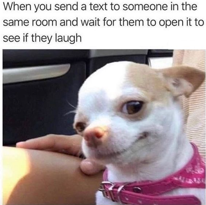 When you send a text to someone in the same room and wait for them to open it to see if they laugh