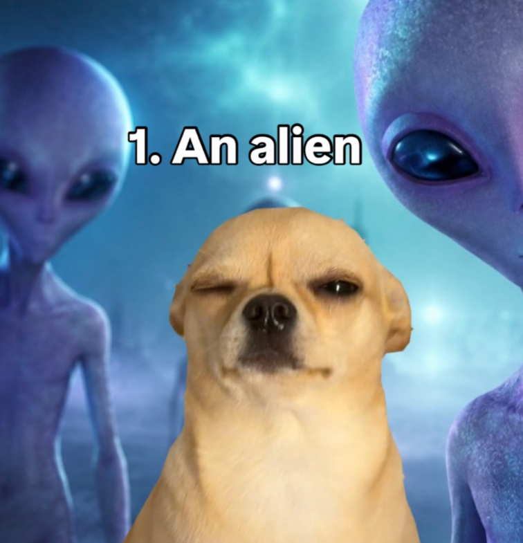 1. An alien