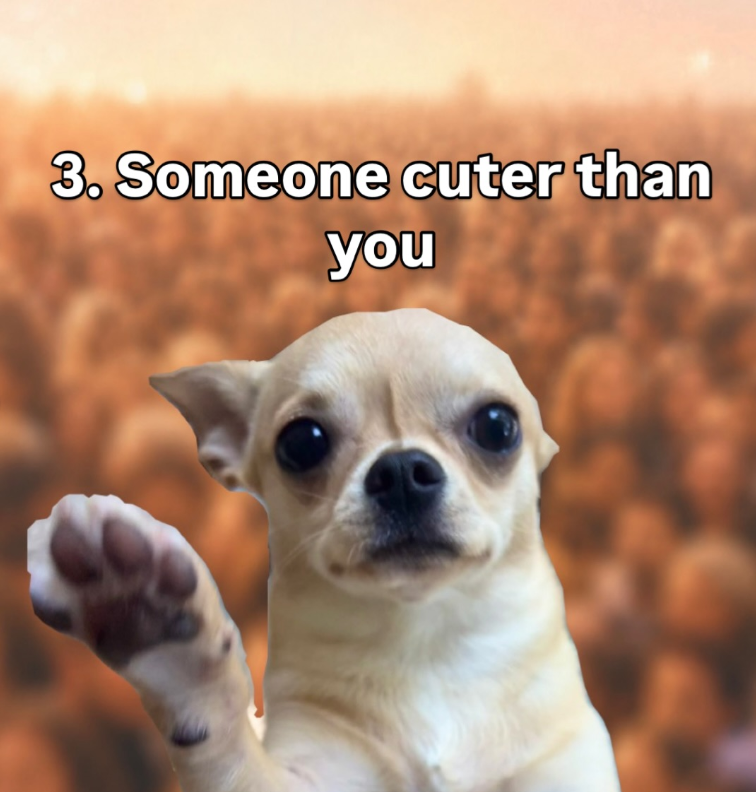 3. Someone cuter than you