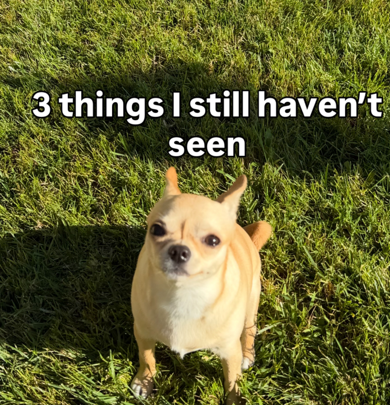 3 things I still haven't seen