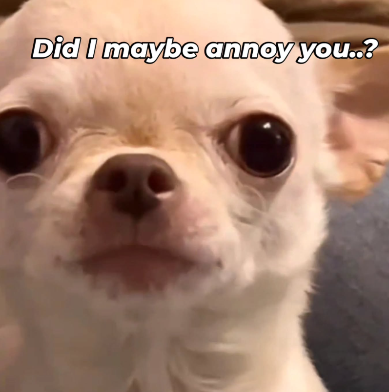 Did I maybe annoy you..?
