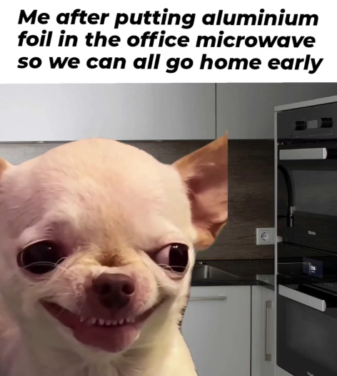Me after putting aluminium foil in the office microwave so we can all go home early