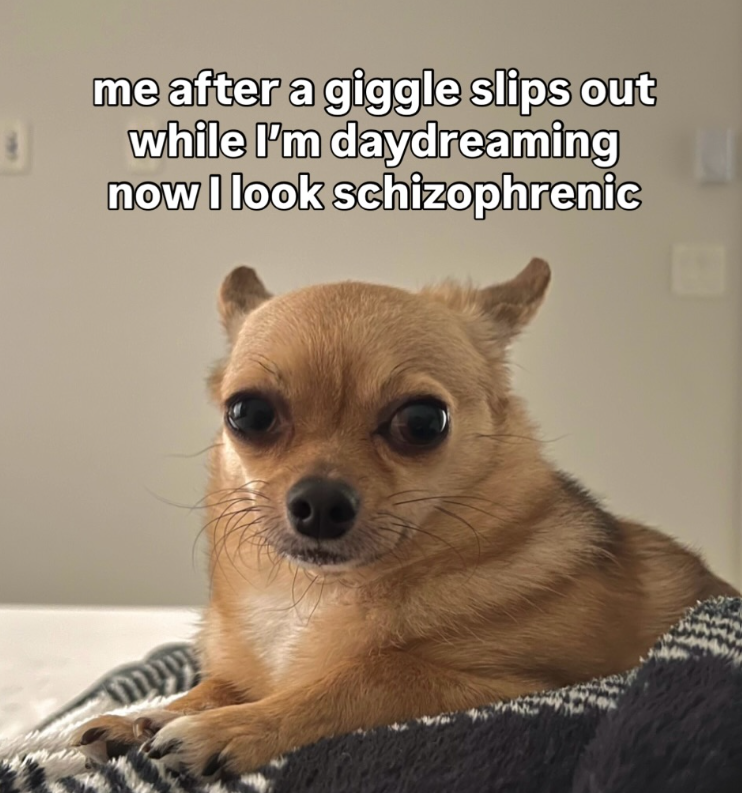 me after a giggle slips out while I'm daydreaming now I look schizophrenic