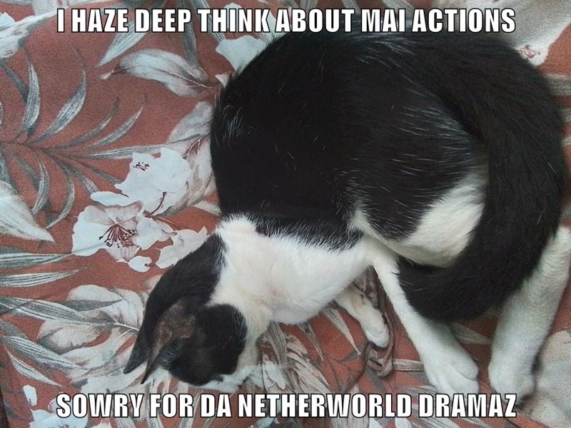 Cheezburger Image 10652064000