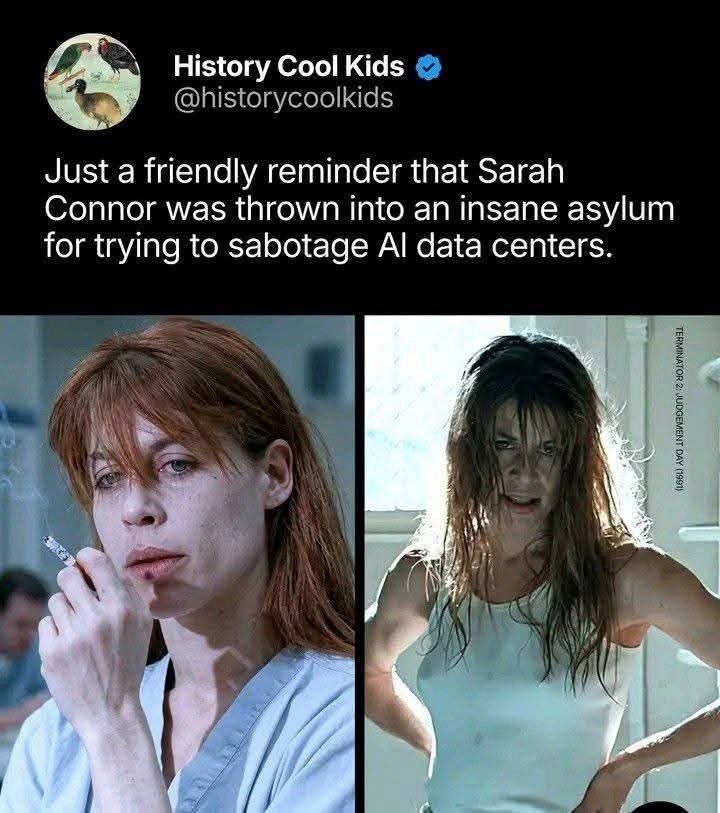 History Cool Kids @historycoolkids Just a friendly reminder that Sarah Connor was thrown into an insane asylum for trying to sabotage Al data centers. TERMINATOR 2: JUDGEMENT DAY (1991)