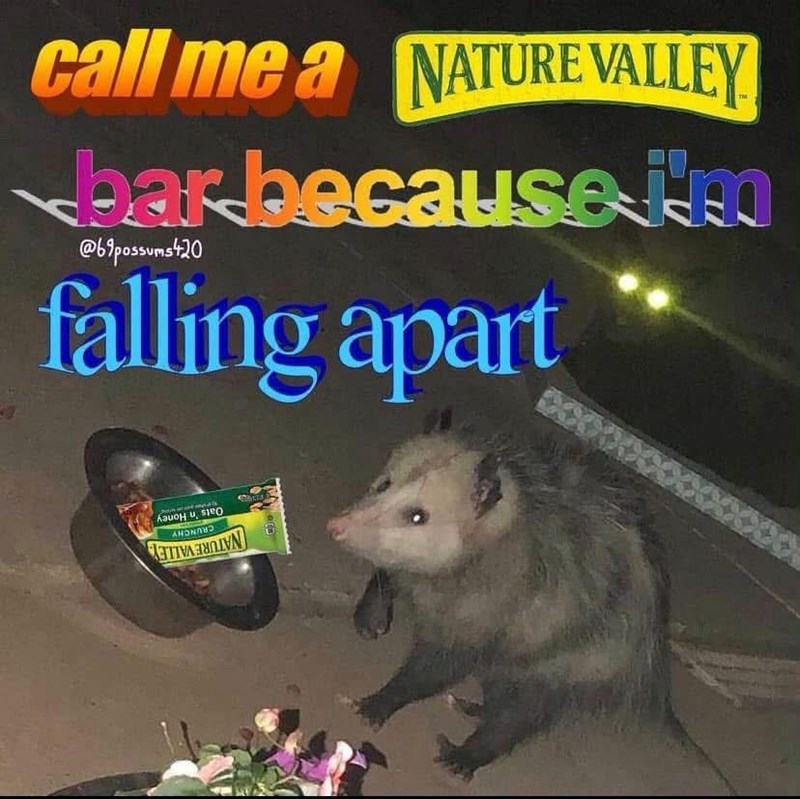 call me a NATURE VALLEY bar because i'm @bipossums+20 falling apart