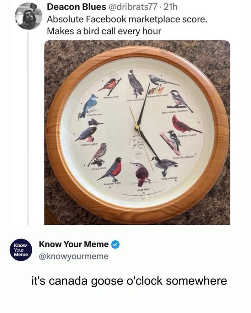 Deacon Blues @dribrats77.21h Absolute Facebook marketplace score. Makes a bird call every hour ed mouse Botthon Onc North Mockingbed Great Homed O Backcocped Chickade Belted Kingfisher NO Northen Cardinal Song Spanow Know Your Meme Know Your Meme American Robin QUAR Downy Woodpecker Canada Goose House When @knowyourmeme it's canada goose o'clock somewhere