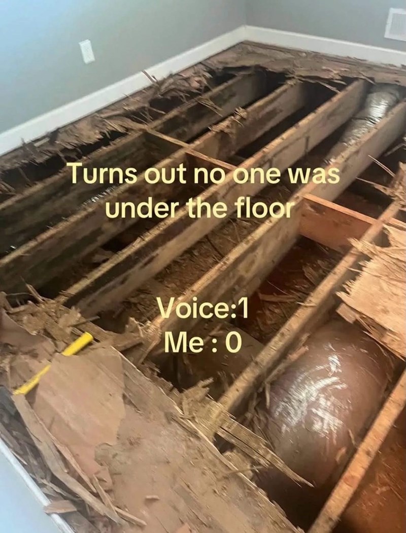 Turns out no one was under the floor Voice:1 Me: 0