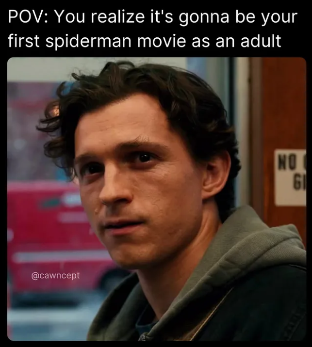 POV: You realize it's gonna be your first spiderman movie as an adult @cawncept CARLS NO LD GI