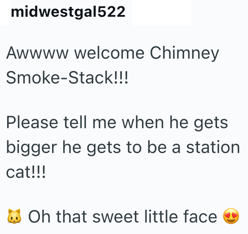 midwestgal522 Awwww welcome Chimney Smoke-Stack!!! Please tell me when he gets bigger he gets to be a station cat!!! Oh that sweet little face
