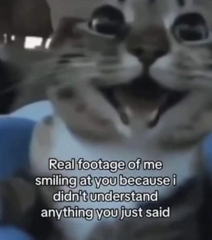 Real footage of me smiling at you because i didn't understand anything you just said