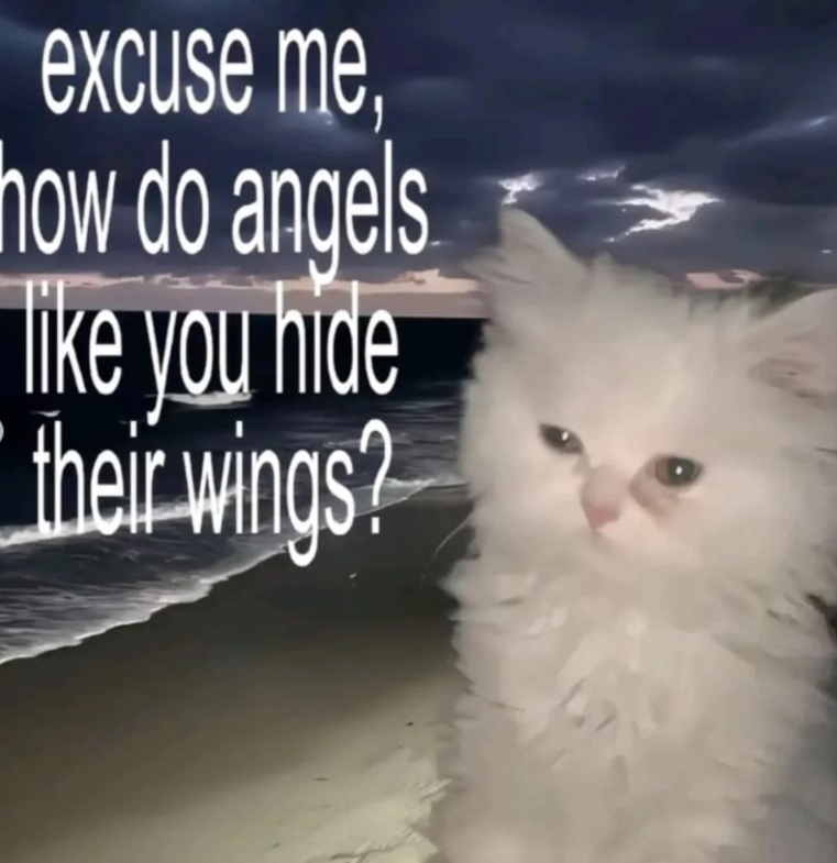 excuse me, how do angels like you hide their wings?