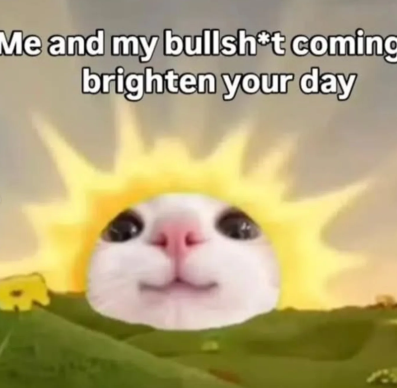 Me and my bullsh*t coming brighten your day