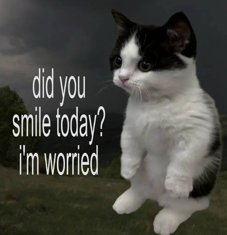 did you smile today? i'm worried