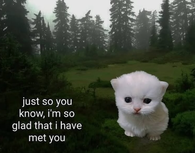 just so you know, i'm so glad that i have met you