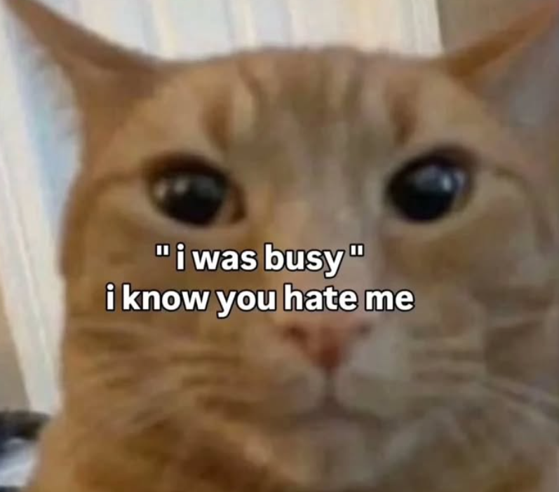 "i was busy" i know you hate me