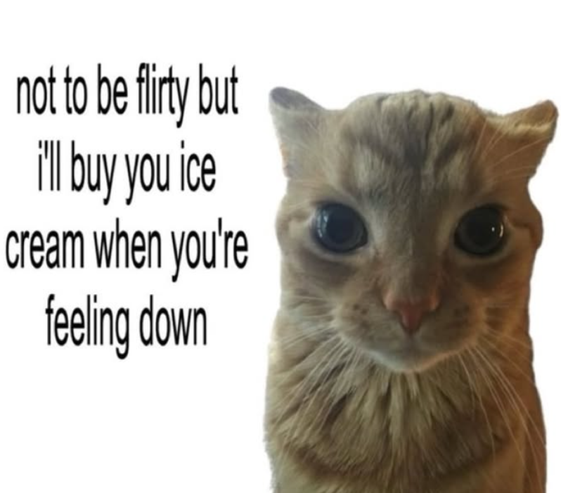 not to be flirty but i'll buy you ice cream when you're feeling down