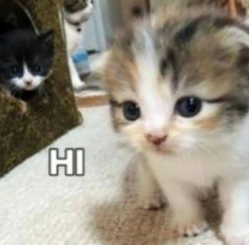 HI