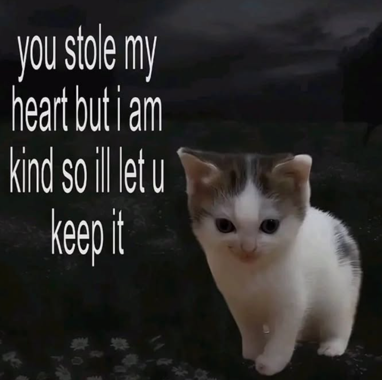 you stole my heart but i am kind so ill let u keep it