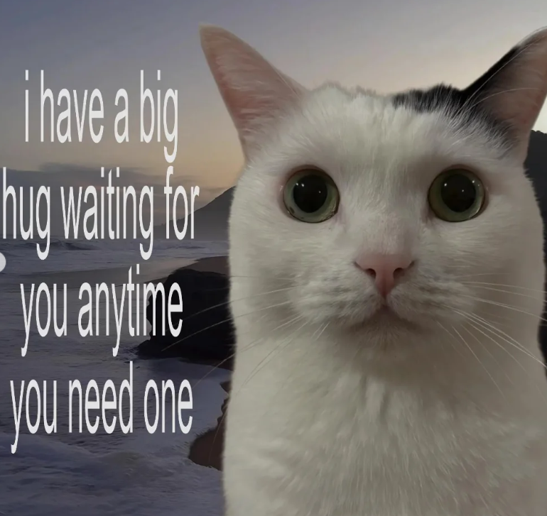 i have a big hug waiting for you anytime you need one