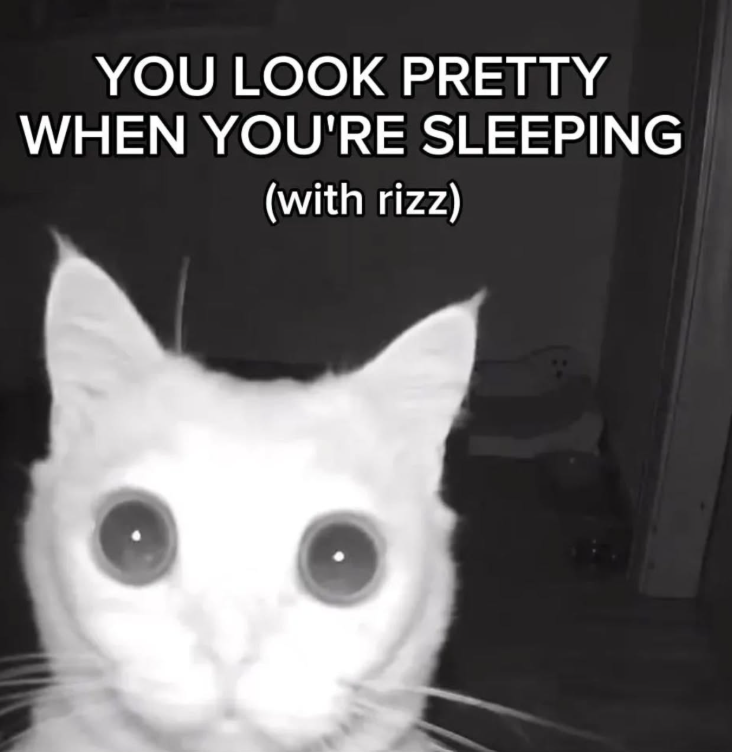 YOU LOOK PRETTY WHEN YOU'RE SLEEPING (with rizz)