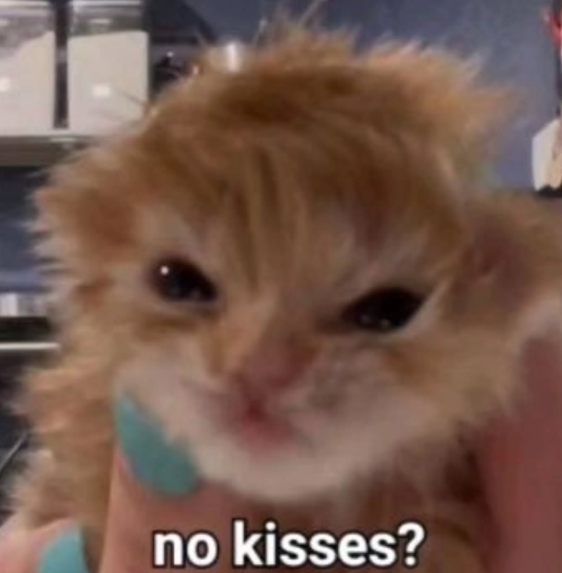 no kisses?