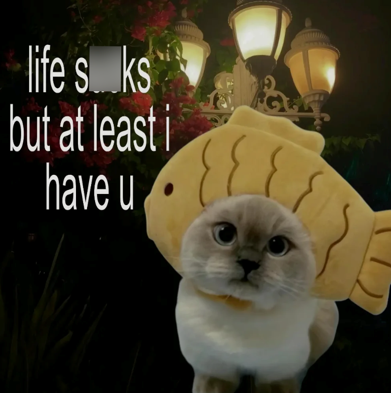 life sks but at least i have u ٤٤٤
