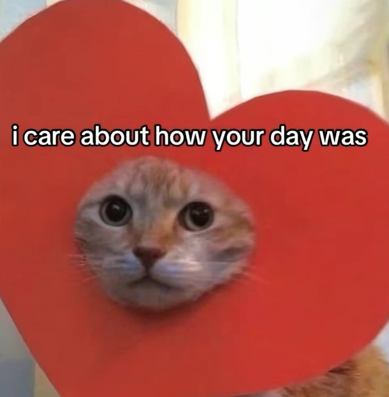 i care about how your day was