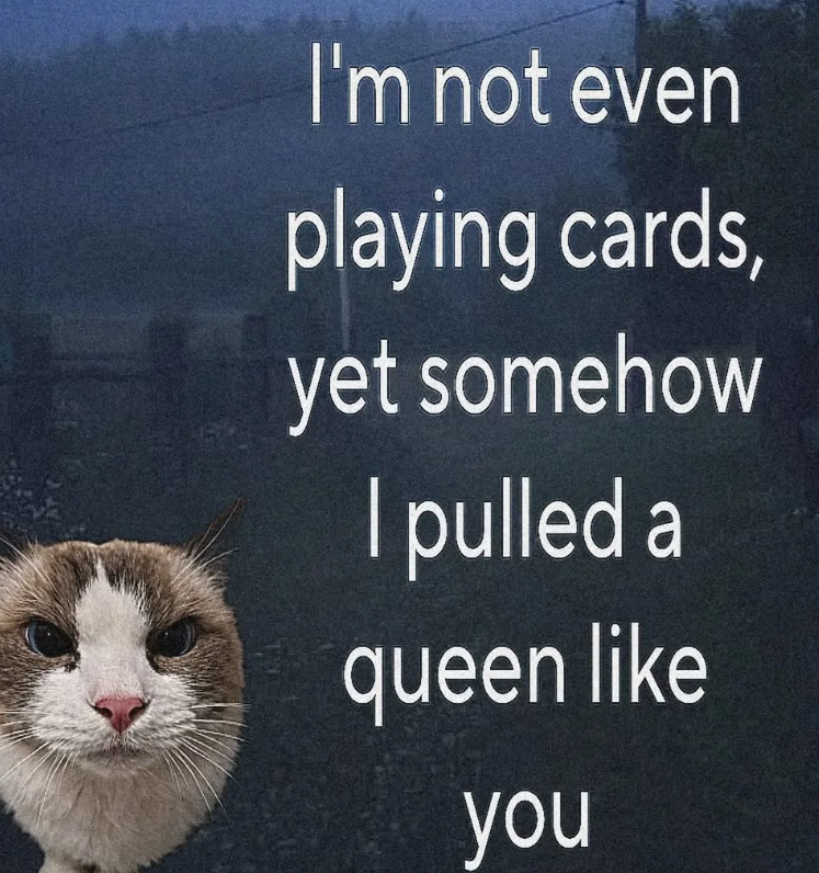 I'm not even playing cards, yet somehow I pulled a queen like you