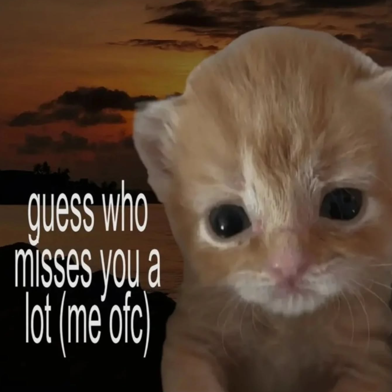 guess who misses you a lot (meʼofc)