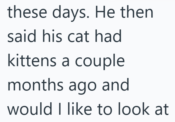 these days. He then said his cat had kittens a couple months ago and would I like to look at