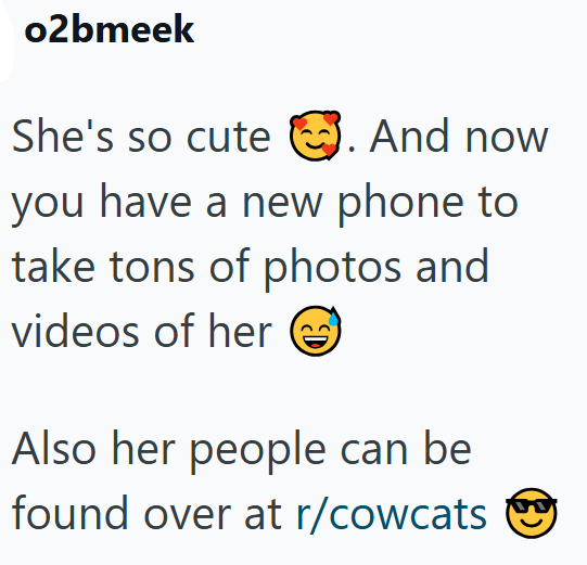 o2bmeek She's so cute . And now you have a new phone to take tons of photos and videos of her Also her people can be found over at r/cowcats ✔